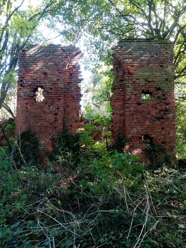 Ruins in Maybury Wood